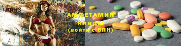 прущие грибы Алексеевка