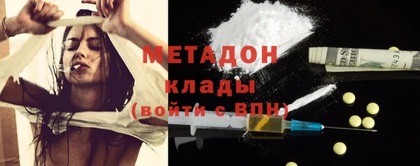 прущие грибы Алексеевка