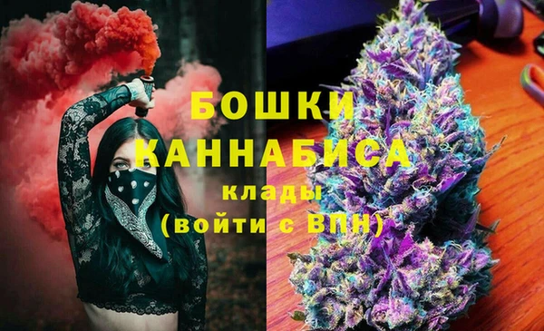 ПСИЛОЦИБИНОВЫЕ ГРИБЫ Алзамай