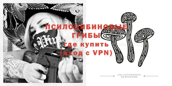 дмт Алексин