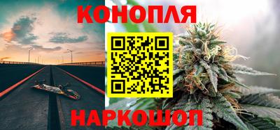 сатива Камышлов