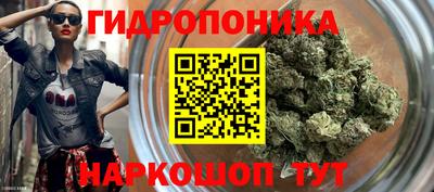 ECSTASY Кандалакша