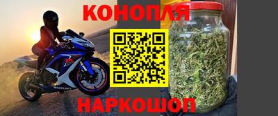 сатива Камышлов