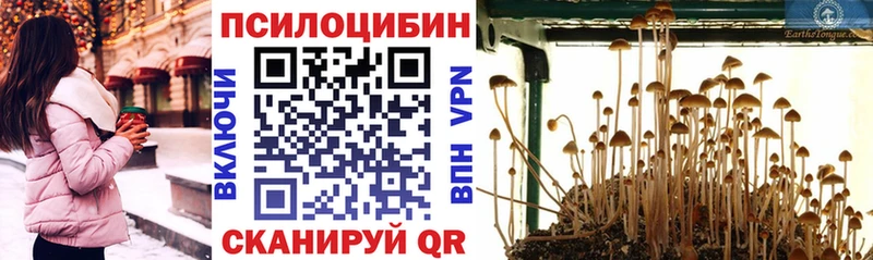 Галлюциногенные грибы мицелий закладка МЕГА вход сайты даркнета состав Лиски